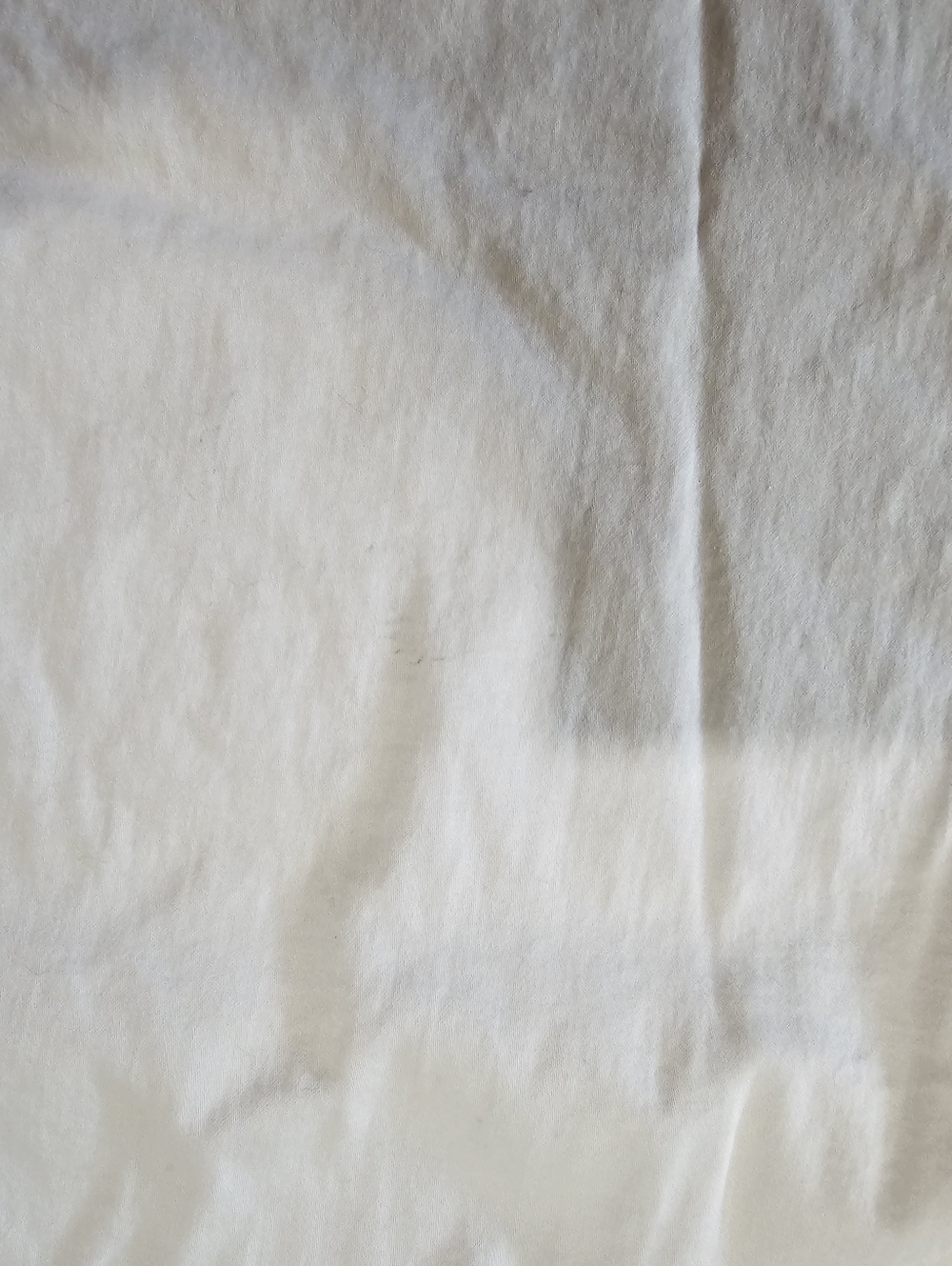 Metaphor White Button-Up Shirt - Picture 5 of 5